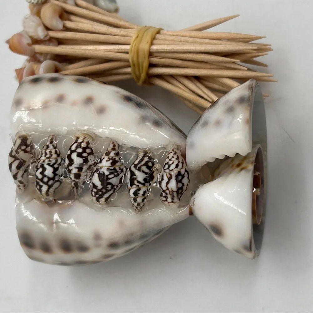 Seashell Toothpick Holder Cocktail Picks NEW